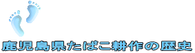 鹿児島県たばこ耕作の歴史